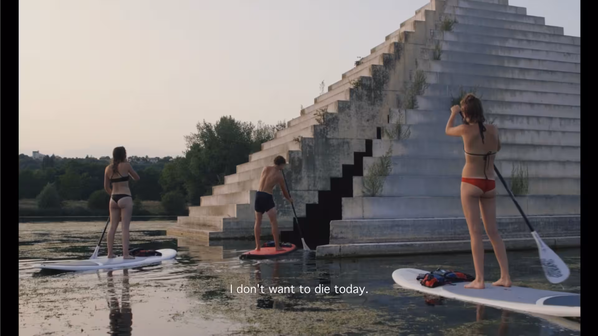 The group go paddleboarding.
